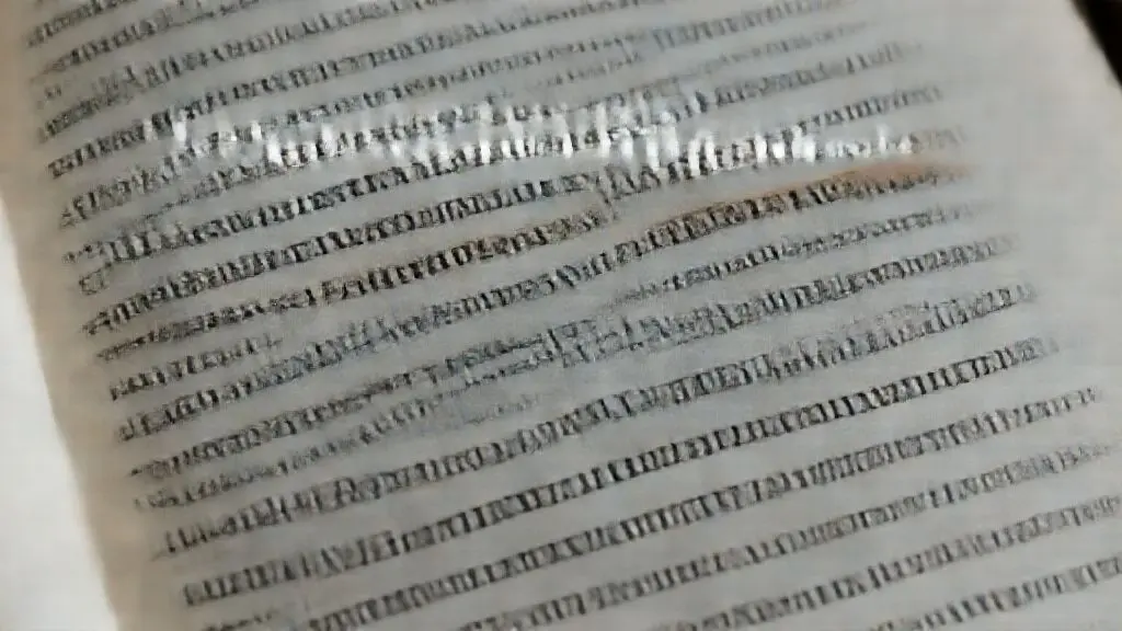 Winners Launches New OM1 Fiber with Enhanced Signal Integrity